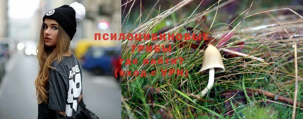 мдпв Сатка