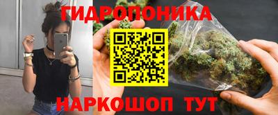амф Боровичи