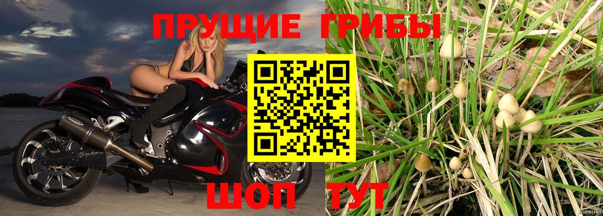 Галлюциногенные грибы MAGIC MUSHROOMS Волхов