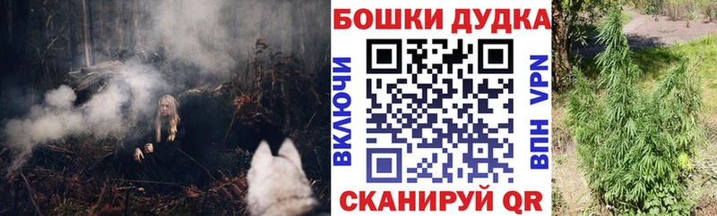 это клад  Волхов  Канабис гибрид  закладки  OMG ТОР 