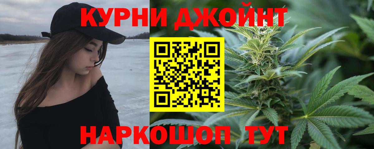 Конопля планчик Волхов